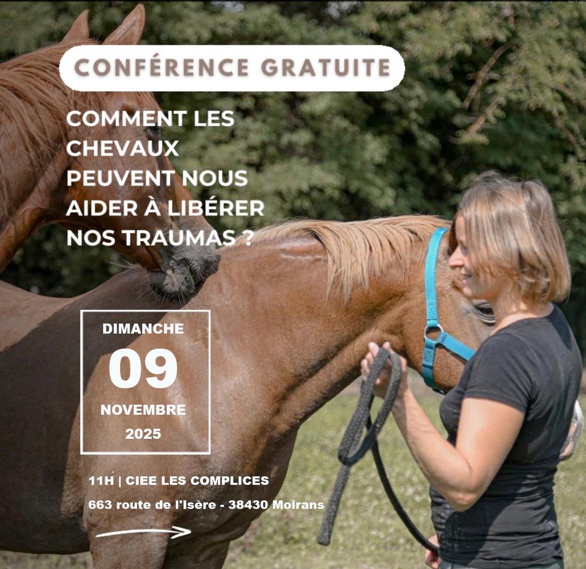 Fête du cheval
